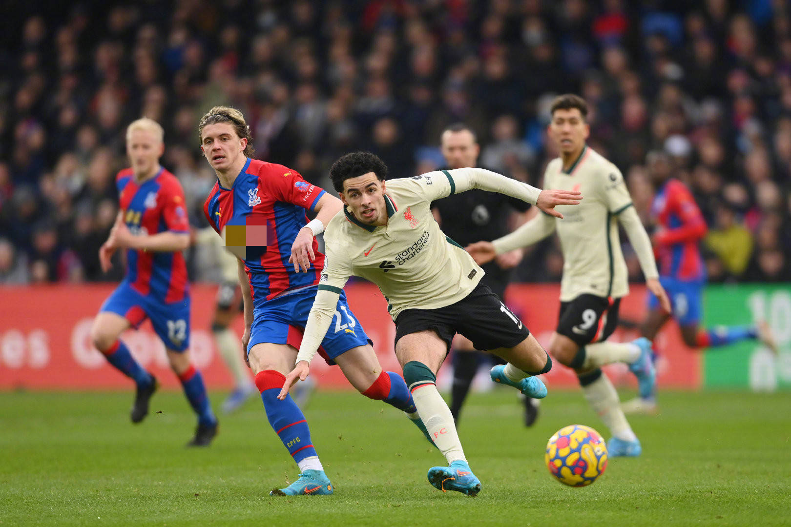 练团队带队 练团队带队